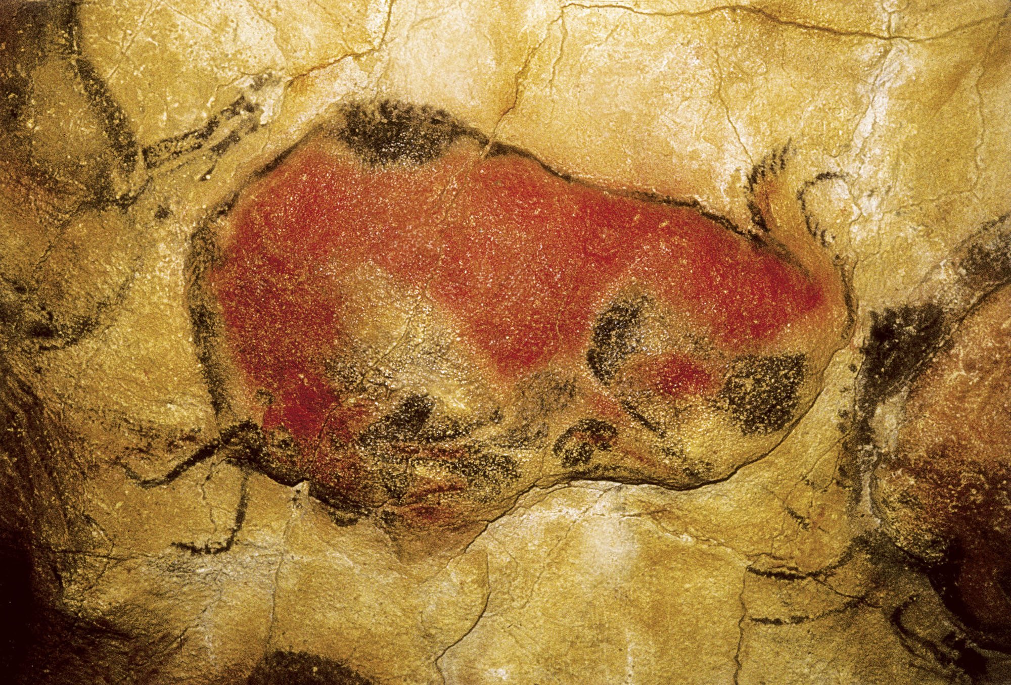 cuevas de altamira pinturas ciervo